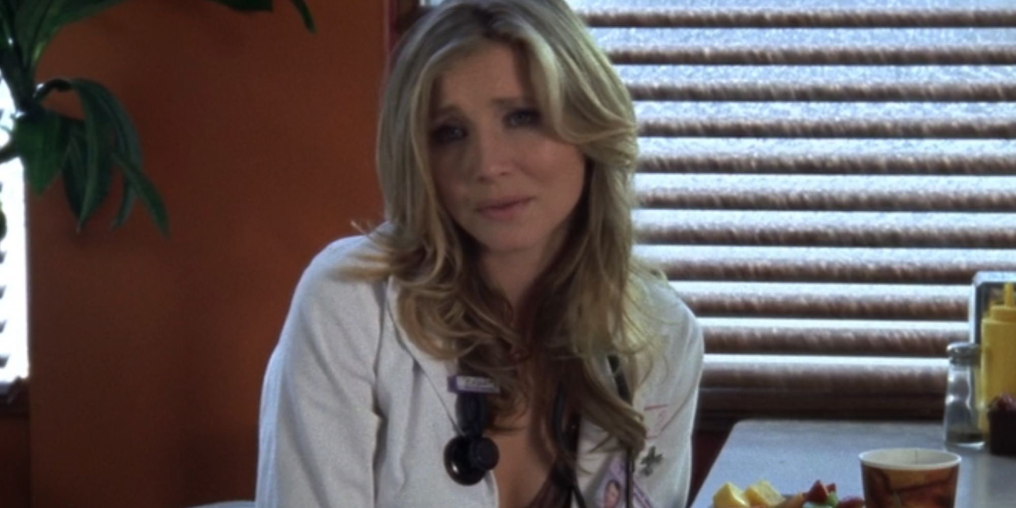 Sarah Chalke nei panni di Elliot Reid in Scrubs
