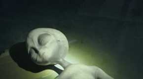 An unconscious Grey Alien in Resident Alien