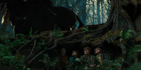 The Lord Of The Rings: The Fellowship Of The Ring Summary, Trailer ...