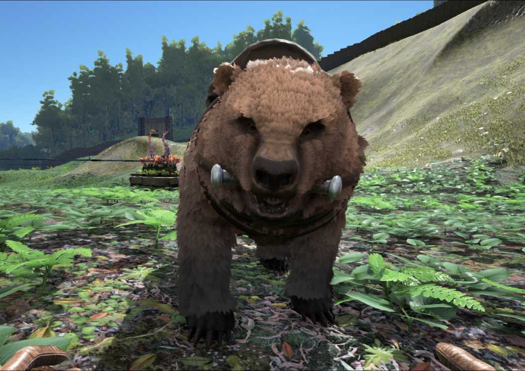 Ark Bear 10 Ark: Survival Ascended Dinos Most People Ignore, But Shouldn't