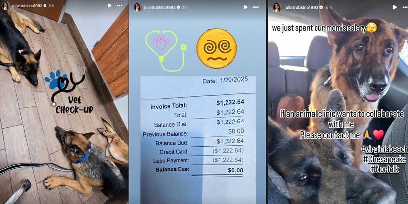 Julia Trubkina in 90 Day Fiance on Instagram Stories about dogs