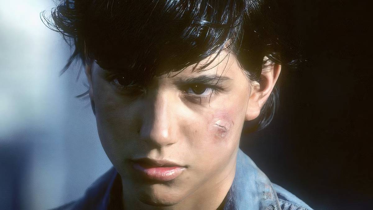 Ralph Macchio's The Outsiders Character, Explained (\u0026 What The Actor Said  About Working With Francis Ford Coppola), image size:1200x675