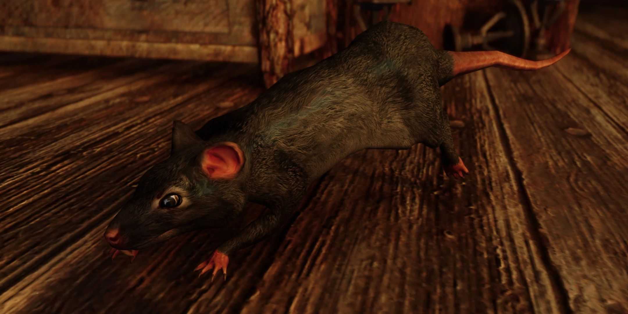 Sewer Rats Running 10 Must-Have Skyrim Mods You Need To Download In 2025