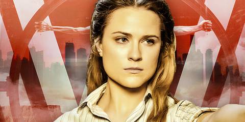 Custom image of Dolores (Rachel Evan Wood) and a host's arms in Westworld