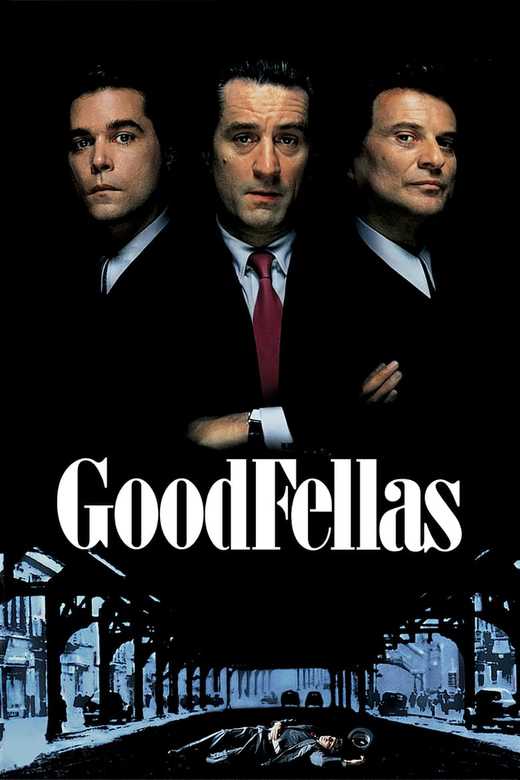 Pôster do filme Os Bons Companheiros