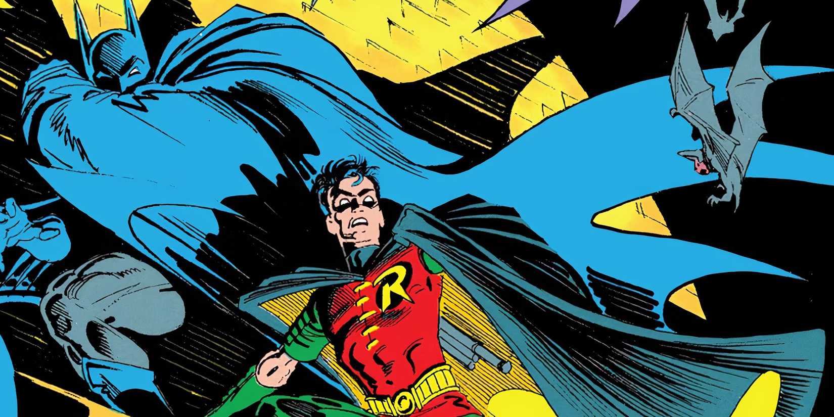 Batman and Robin Tim Drake Together DC