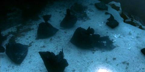 A field of trash bags filled with body parts at the bottom of the ocean in Dexter season 2, episode 1