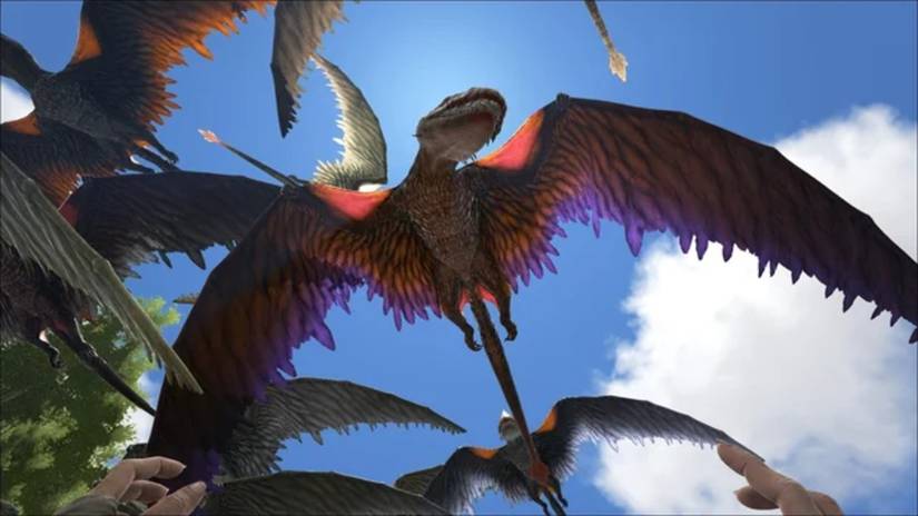 Dimorphodons in flight with its wings outstretched above the player in ark survival ascended