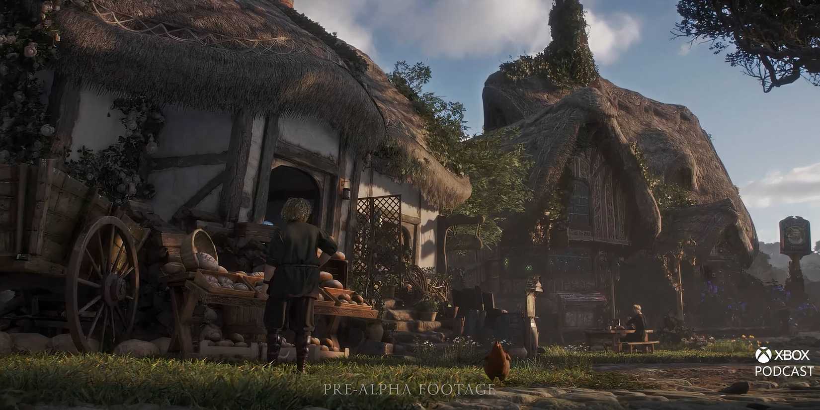 A collection of medieval houses in Fable.