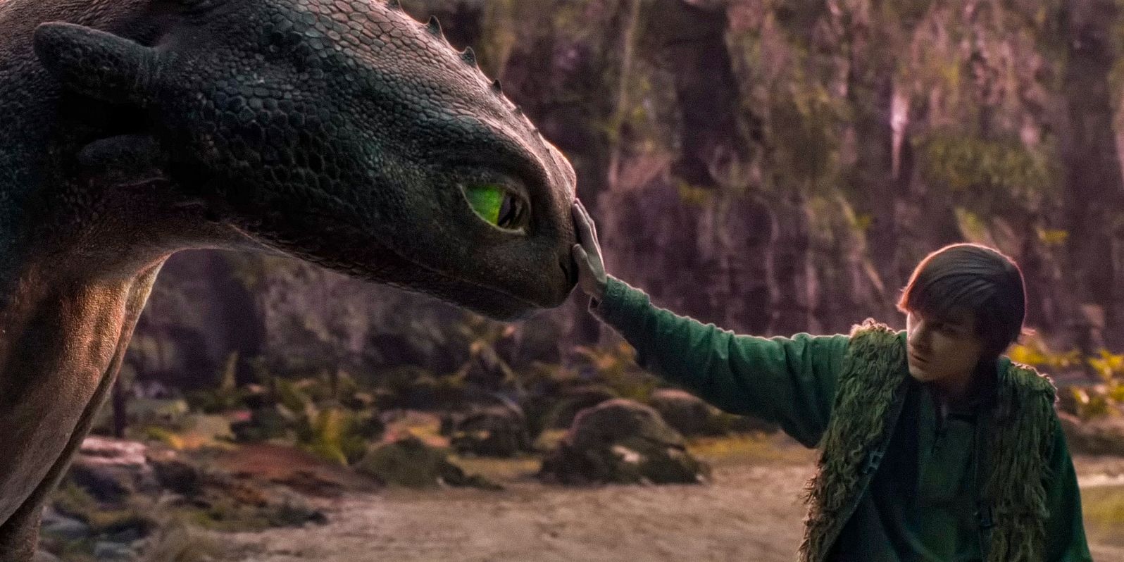 Every Dragon In How To Train Your Dragon Explained