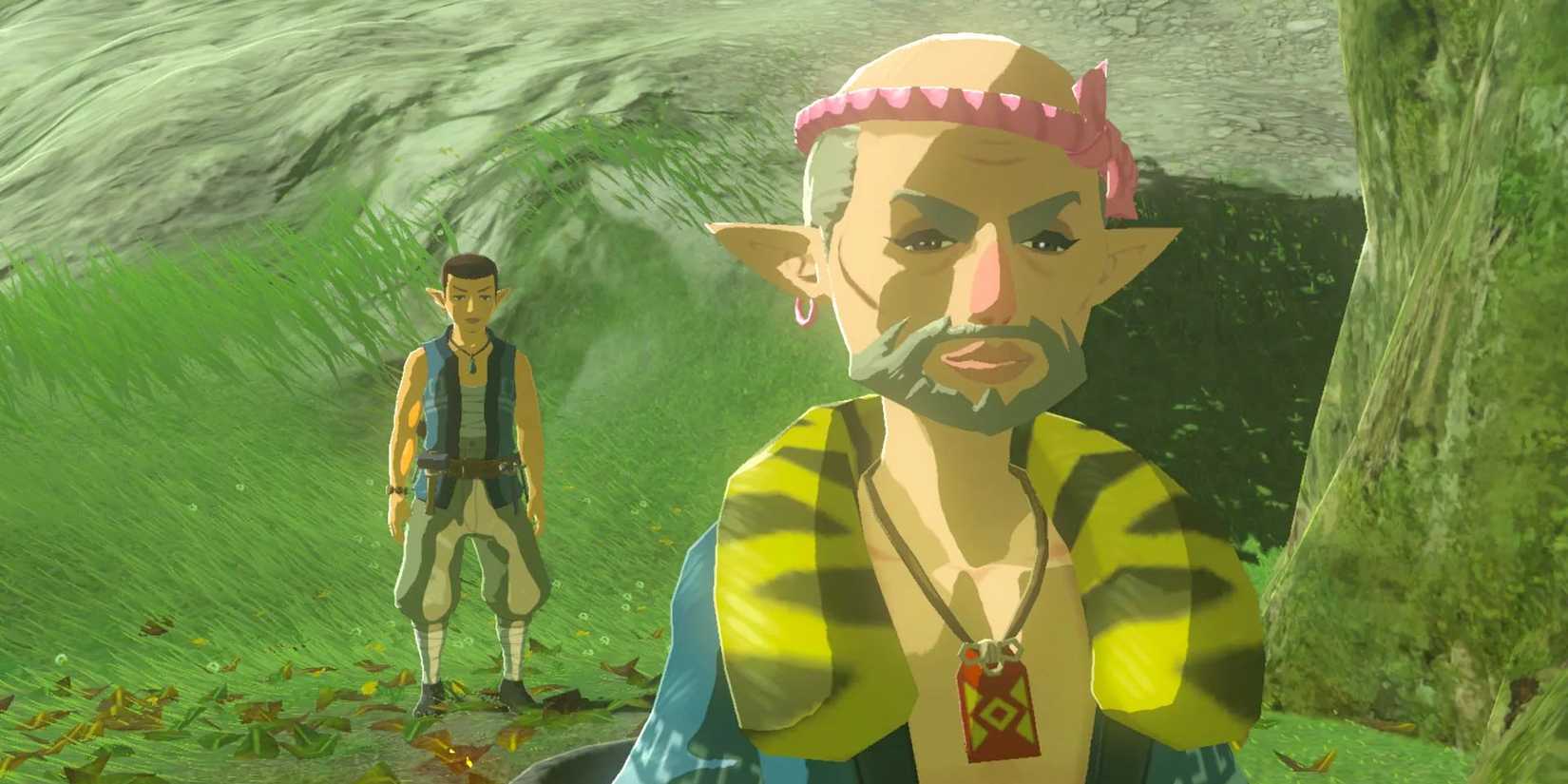  Breath of the Wild prepares to build Link a house.