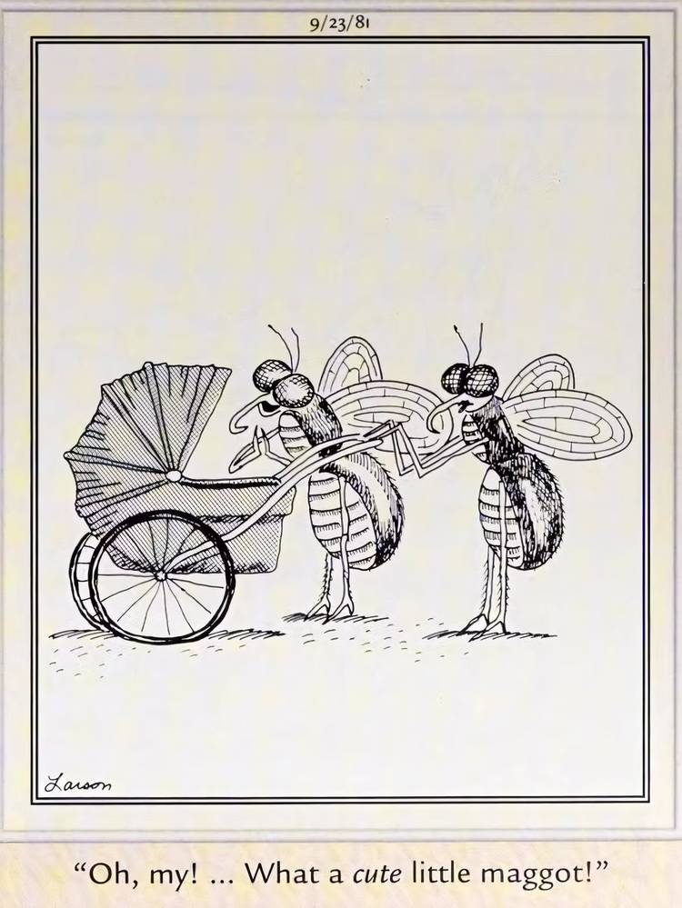 13 Far Side Comics That Will Challenge Anyone Who Believes Bugs Are Gross