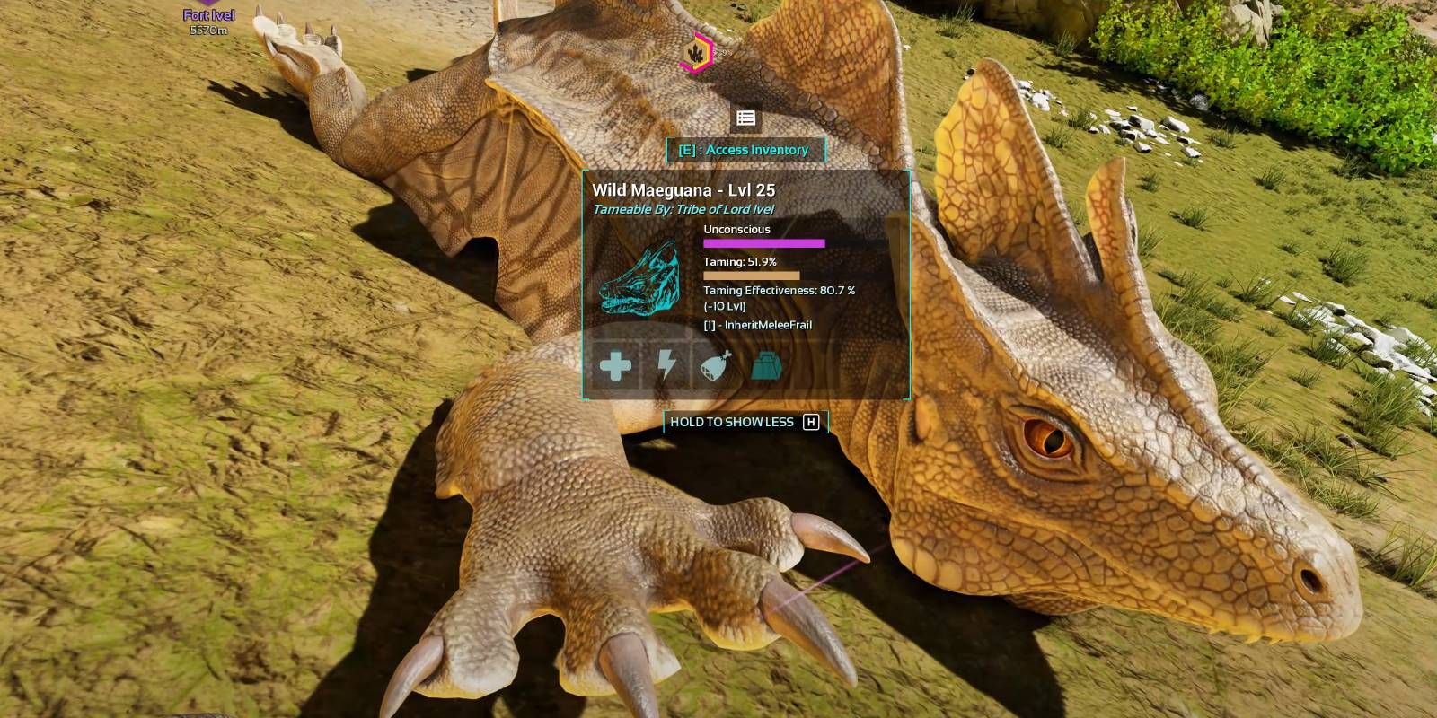 How To Trap A Maeguana In Ark: Survival Ascended
