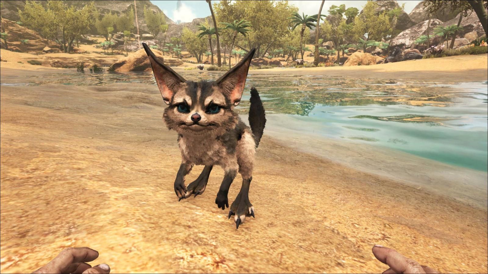 10 Best Ark: Survival Evolved Shoulder Pet Dinosaurs And Creatures
