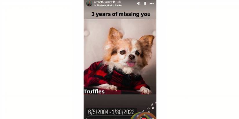 Kenny Niedermeier in 90 Day Fiance on Instagram Story about dog Truffles