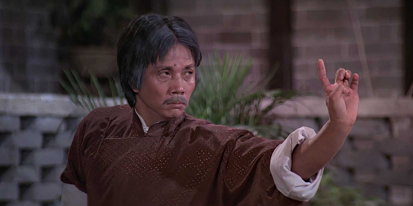 Lau Kar-Leung in My Young Auntie