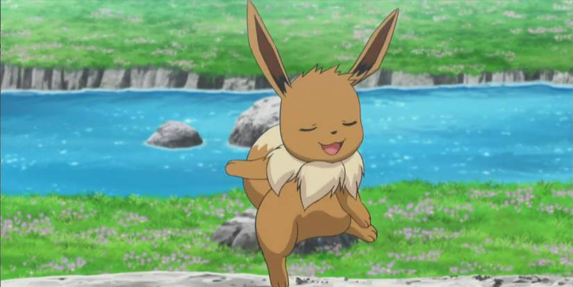 A wild Eevee begins to dance.