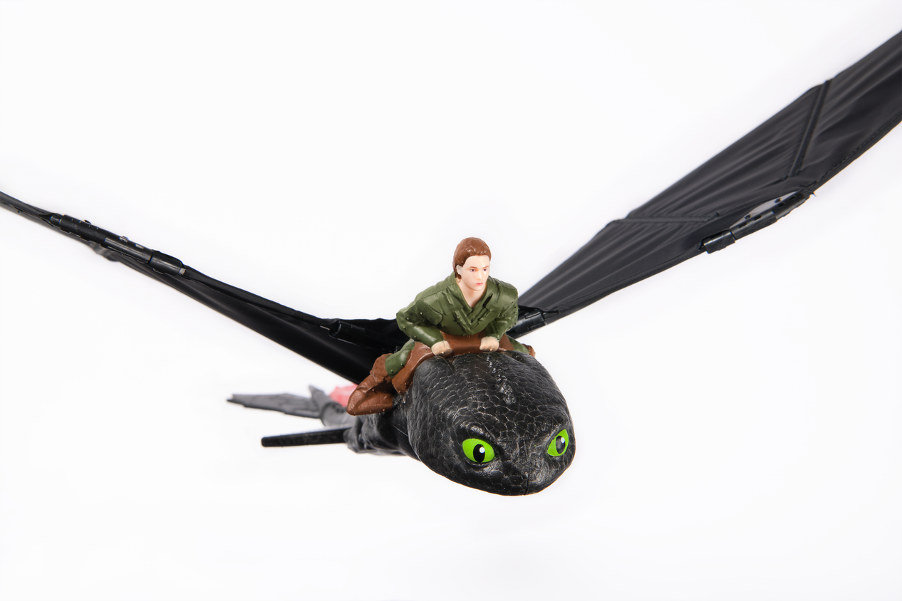 Real Toothless How To Train Your Dragon Toothless Flying How To Train Your Dragon 2: