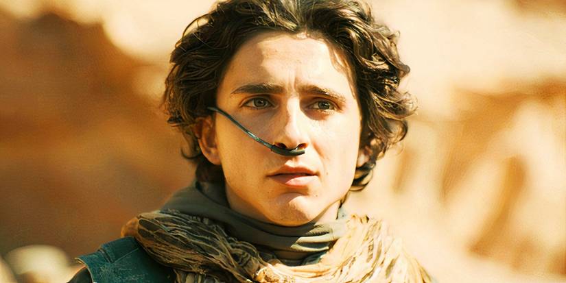 Paul Atreides (Timothée Chalamet) looking up in Dune: Part Two