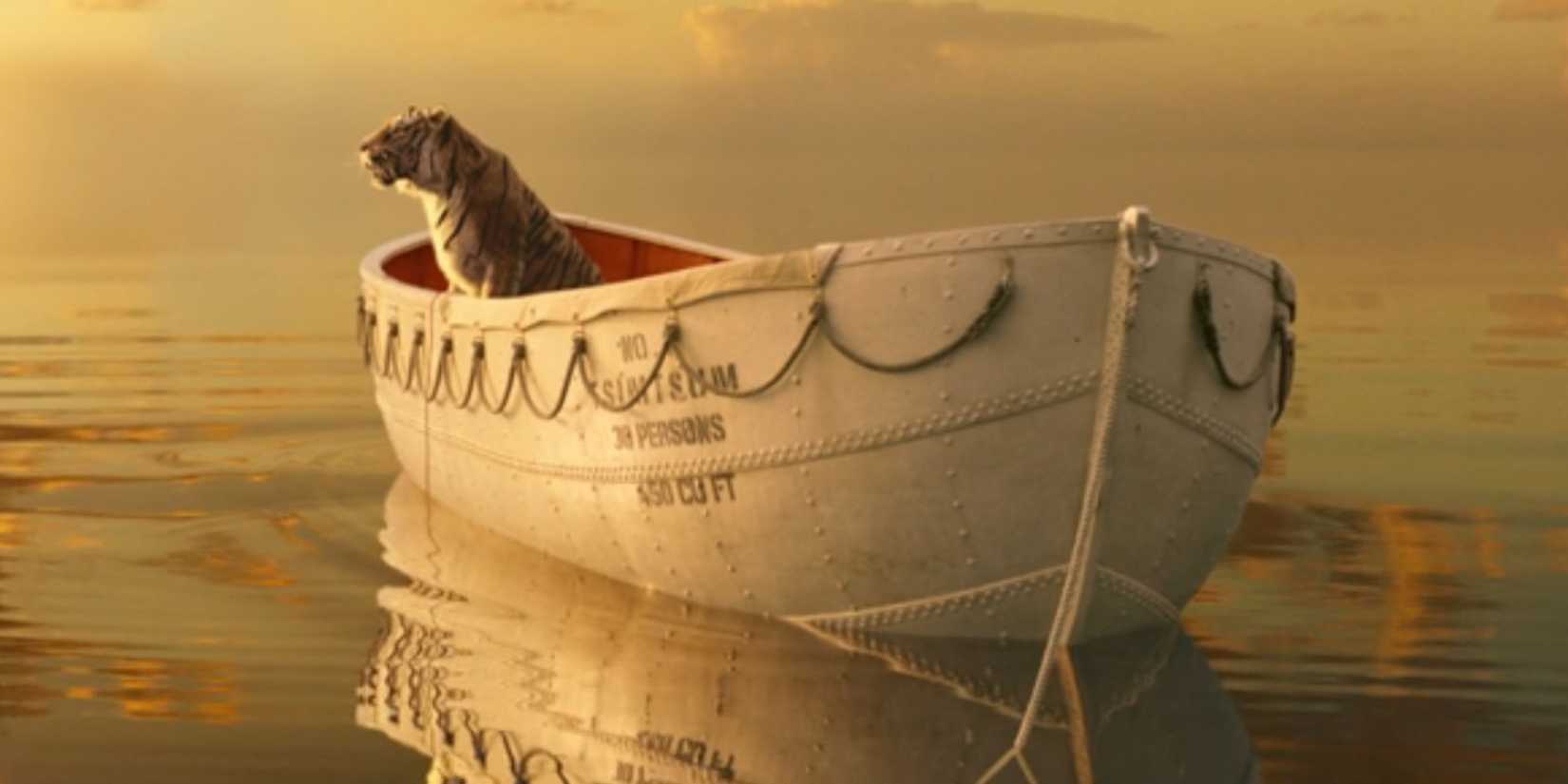 Richard Parker looking out to sea in Life of Pi