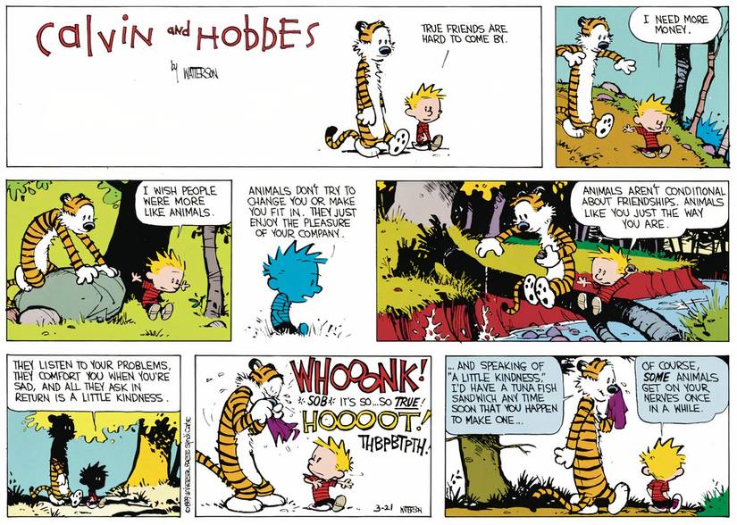 10 Heartwarming Calvin & Hobbes Comics To Share With Your Best Friend TODAY