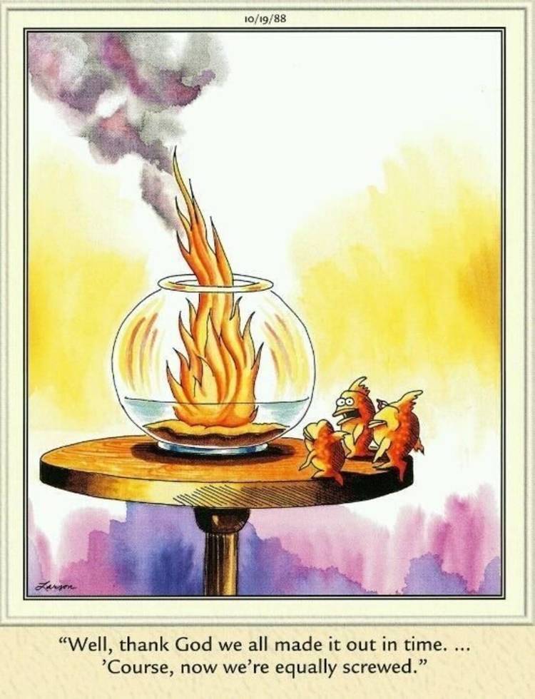 Far Side, fish looking at their bowl on fire.