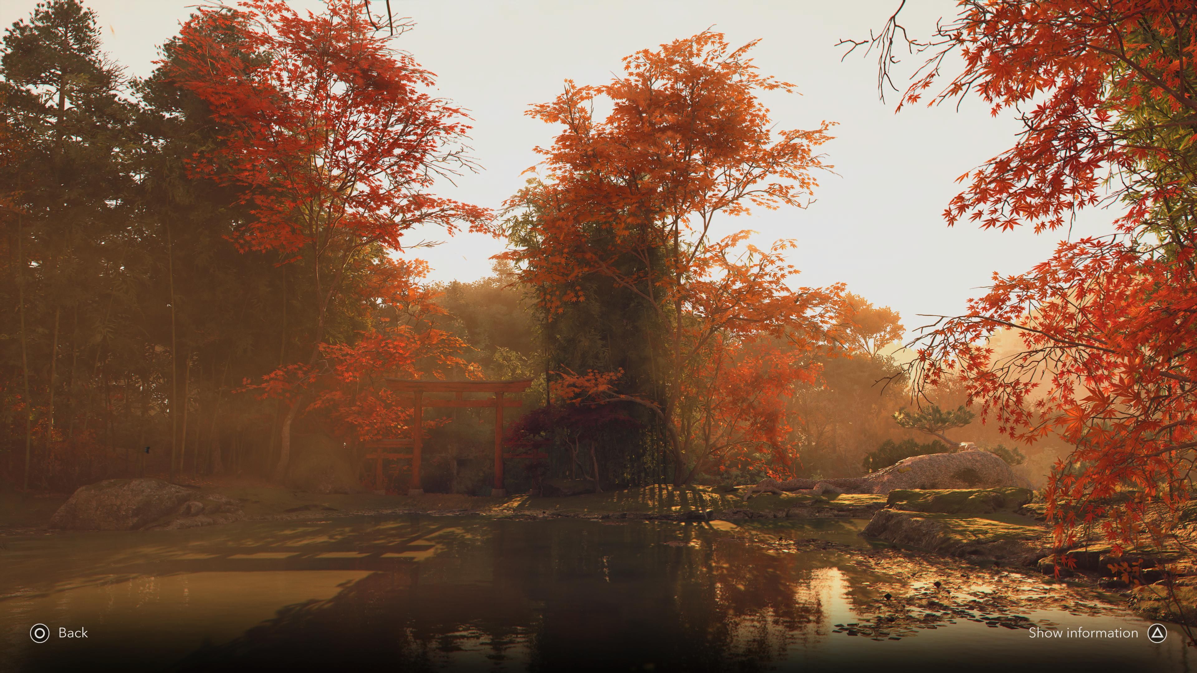 Assassin's Creed Shadows: What Changes In All 4 Seasons