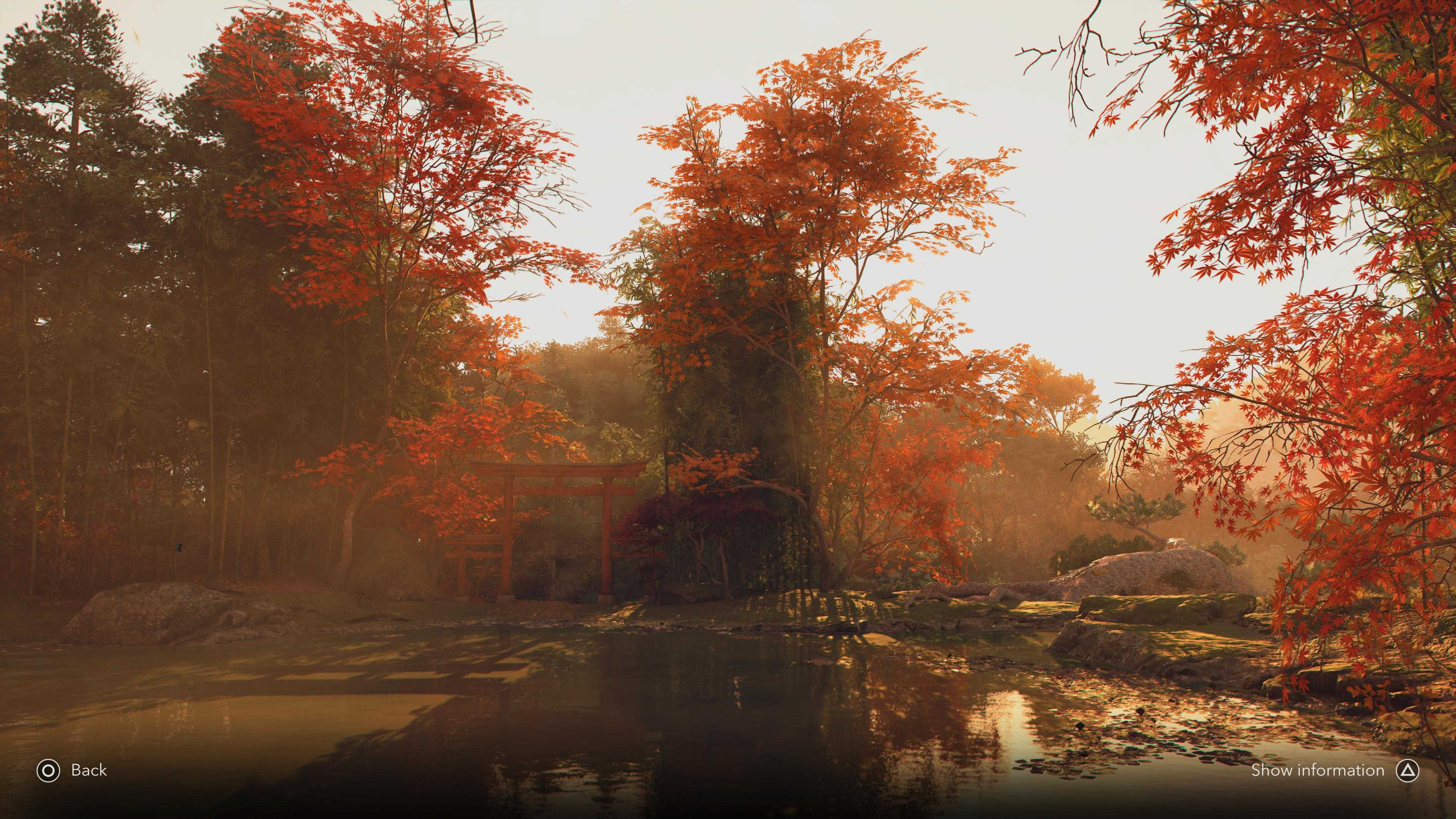 Fall Ac Shadows Assassin's Creed Shadows: What Changes In All 4 Seasons