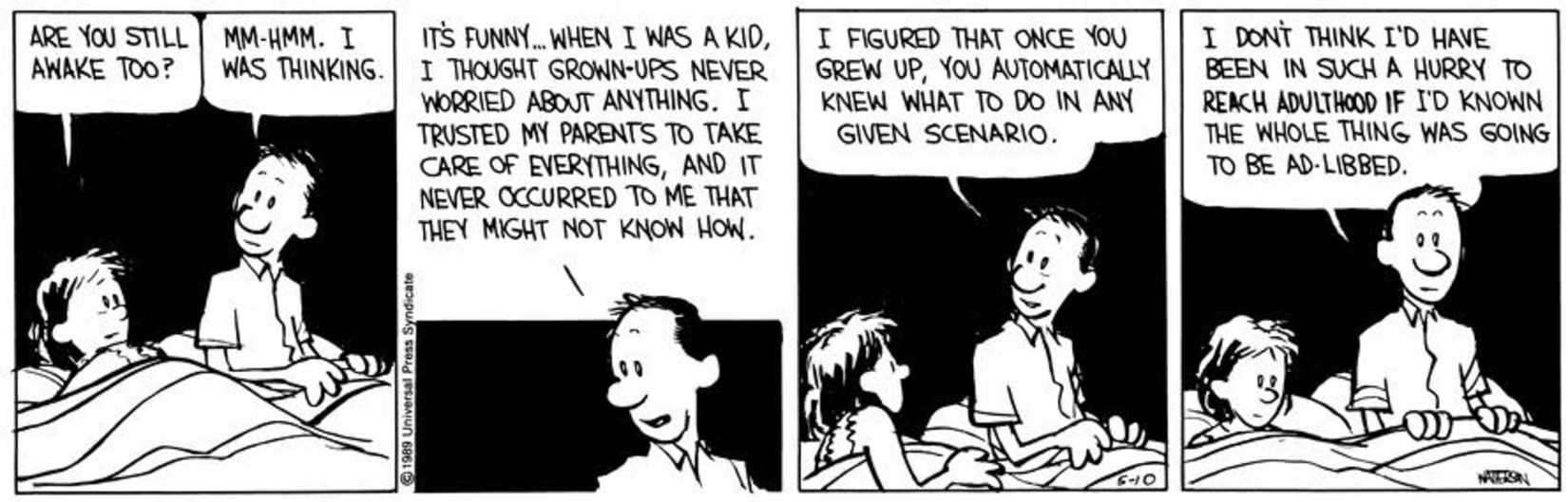 Calvin and Hobbes, Calvin's dad discusses how he's ad-libbing as an adult