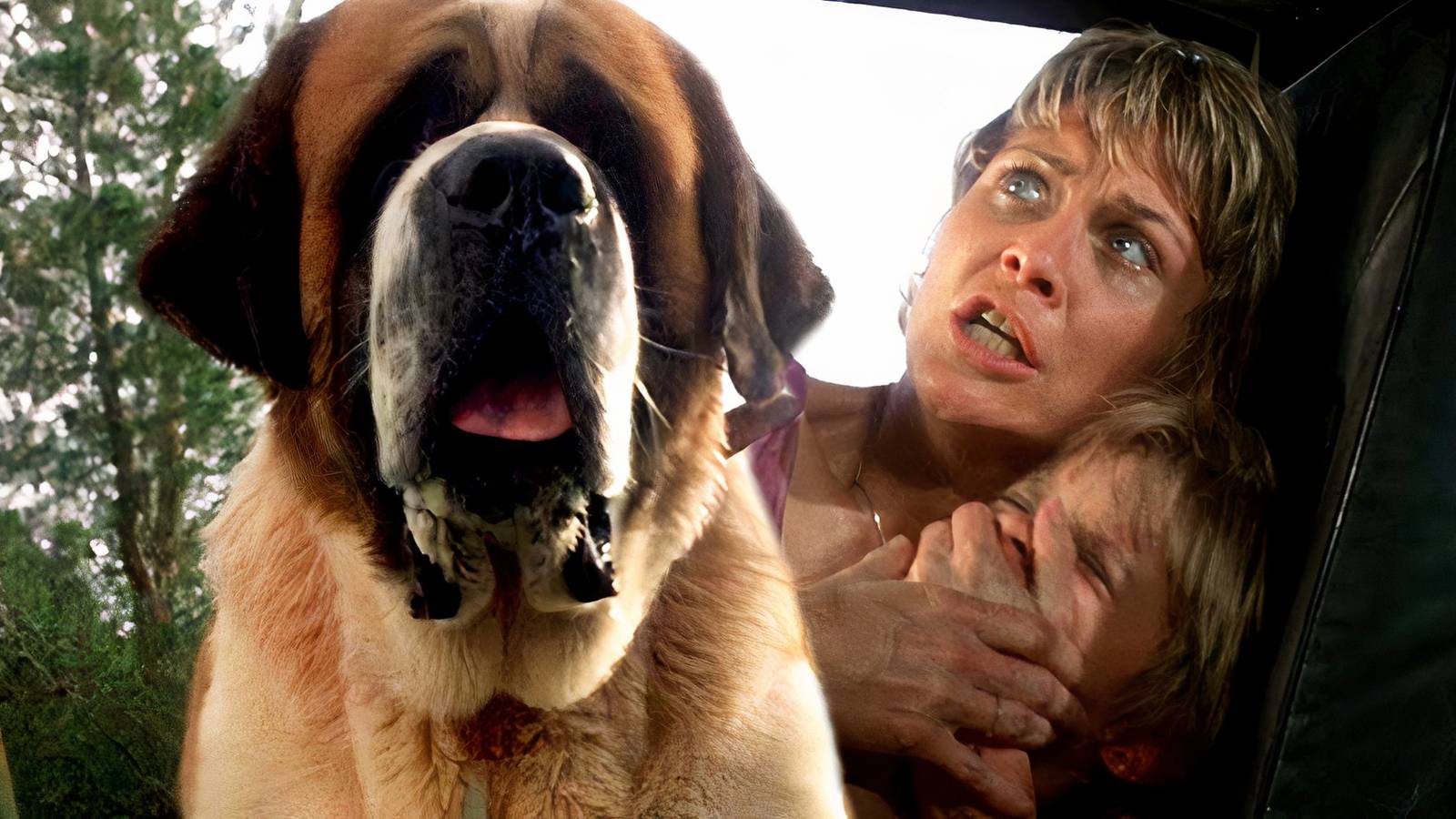 Iconic Stephen King Story Getting New Adaptation At Netflix After '80s  Movie Changed Its Dark Ending