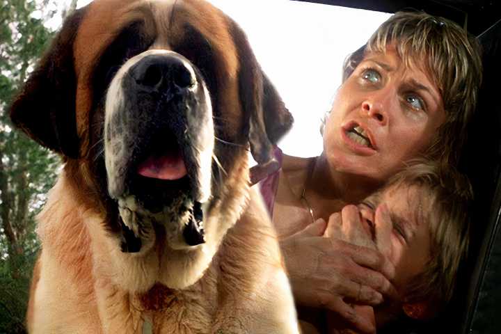 Cujo Summary, Latest News, Trailer, Cast, Where to Watch and More