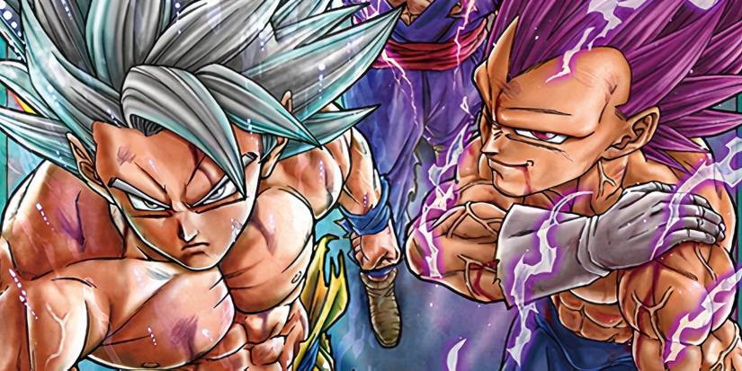Perfected Ultra Instinct Goku and Ultra Ego Vegeta Volume 24 Cover