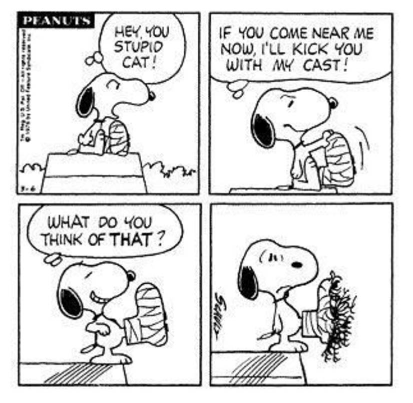 Everyone Loves Snoopy, But These Charlie Brown Comics Prove the Pup Has ...