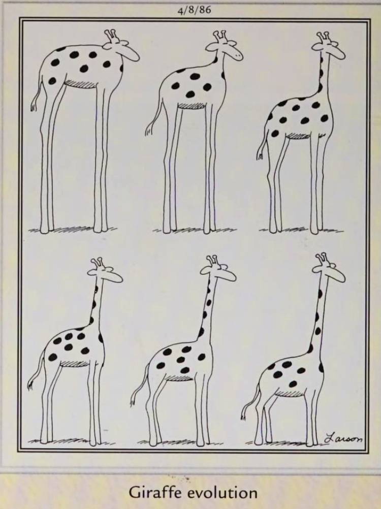Far Side, April 8, 1986, featuring the stages of 'giraffe' evolution