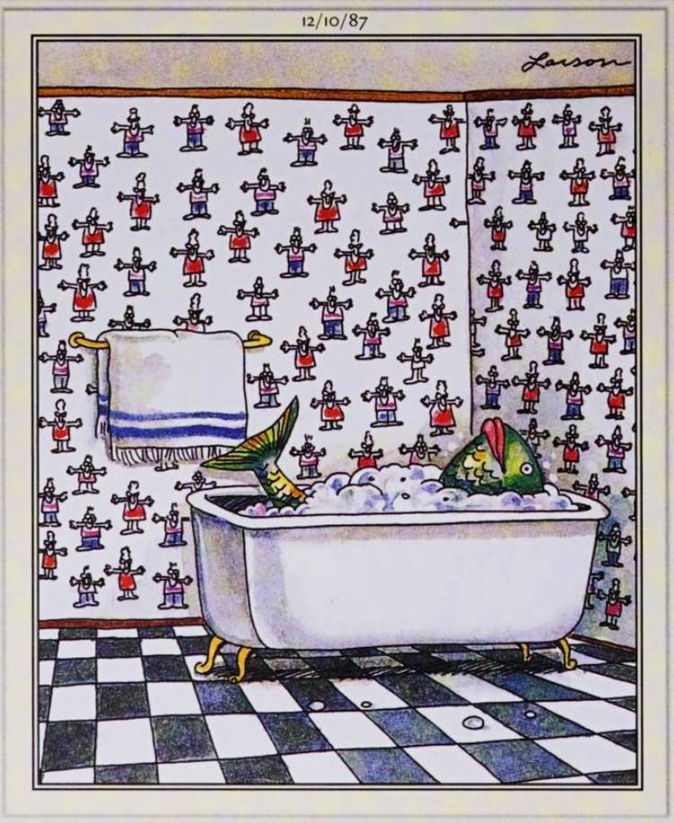 Far Side, December 10, 1987, a fish takes a bath in a bathroom with human being wallpaper