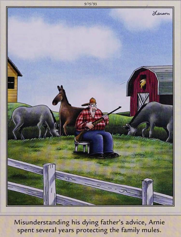 Hardcore Far Side Fans Know These 10 Comics Deserve Way More Attention
