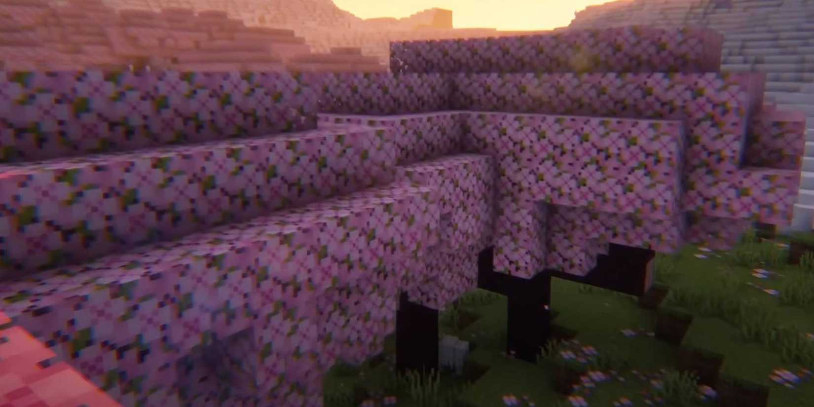 22 Best Minecraft Seeds For Cherry Blossom 2 Minecraft Small Cherry Forest Cherry Blossom world seed