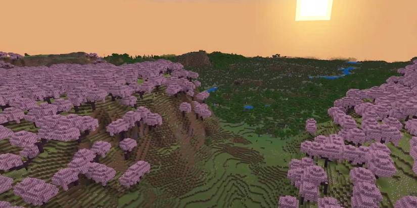 Minecraft Pink Sunrise Cherry Blossom world seed
