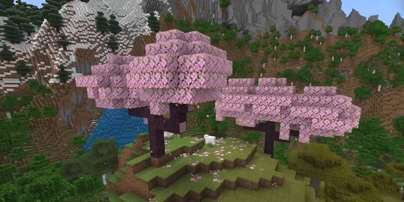 22 Best Minecraft Seeds For Cherry Blossom 1 Minecraft Two Cherries in a Sea of Green Cherry Blossom world seed