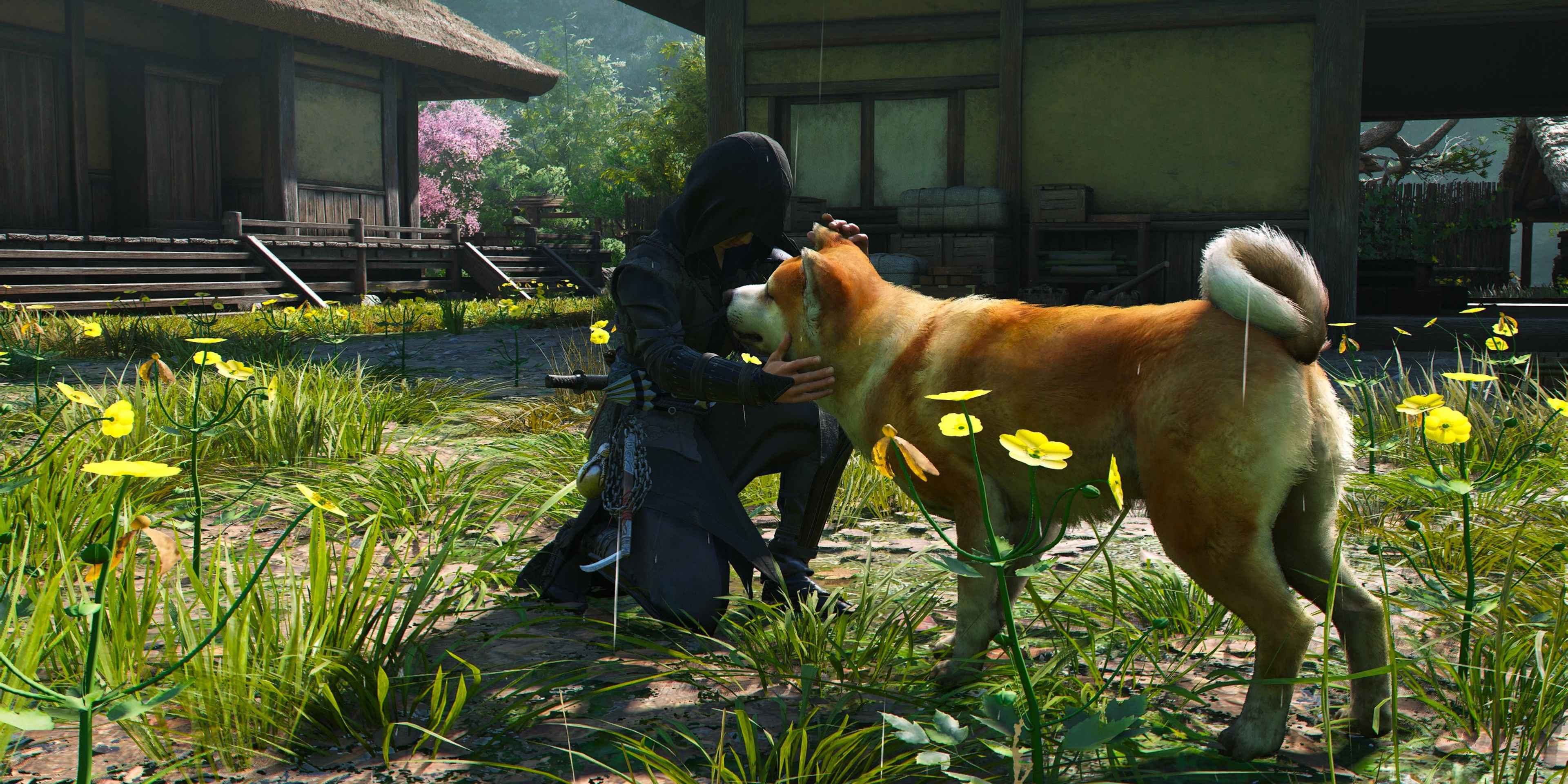 Naoe petting an Akita in the Hideout