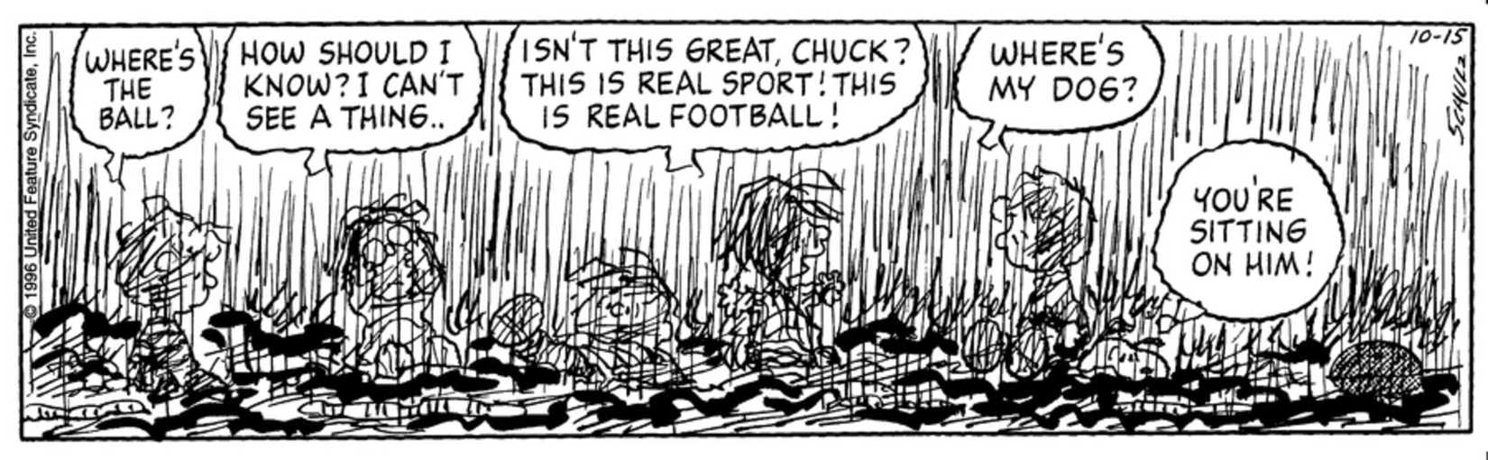 13 Funniest Peanuts Comics That Every Football Fan Will Love