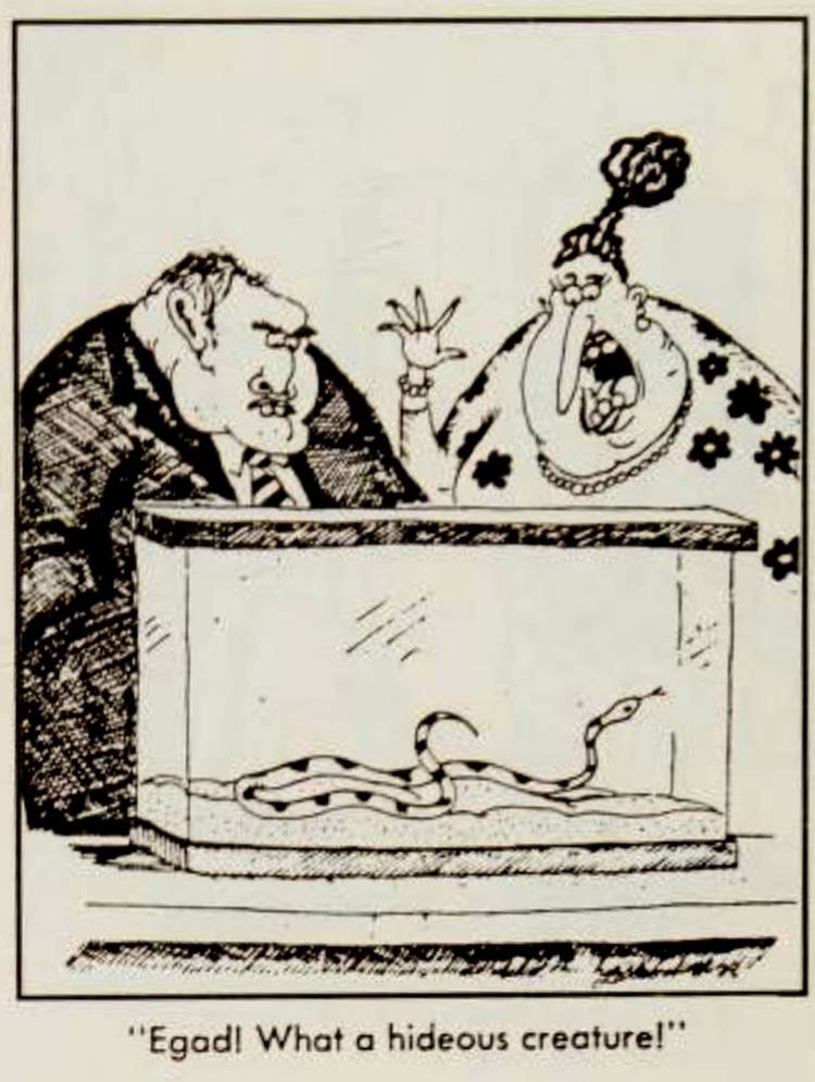 10 Gary Larson Comics That Actually Pre-Date The Far Side – Including a ...