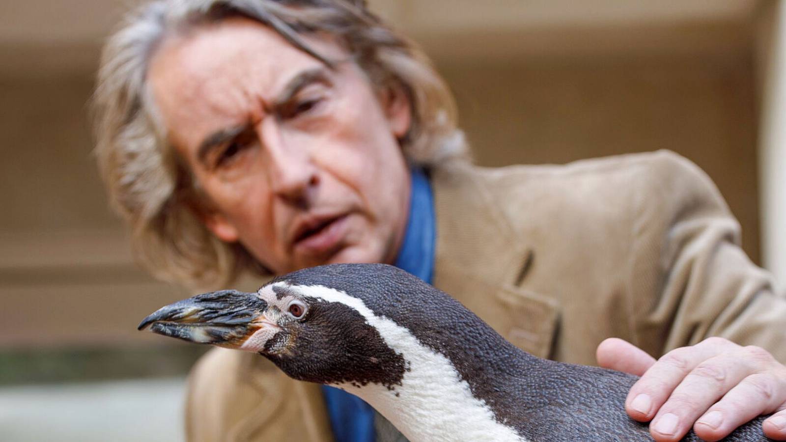 The Penguin Lessons Review: I Was Charmed By Steve Coogan's Weird ...