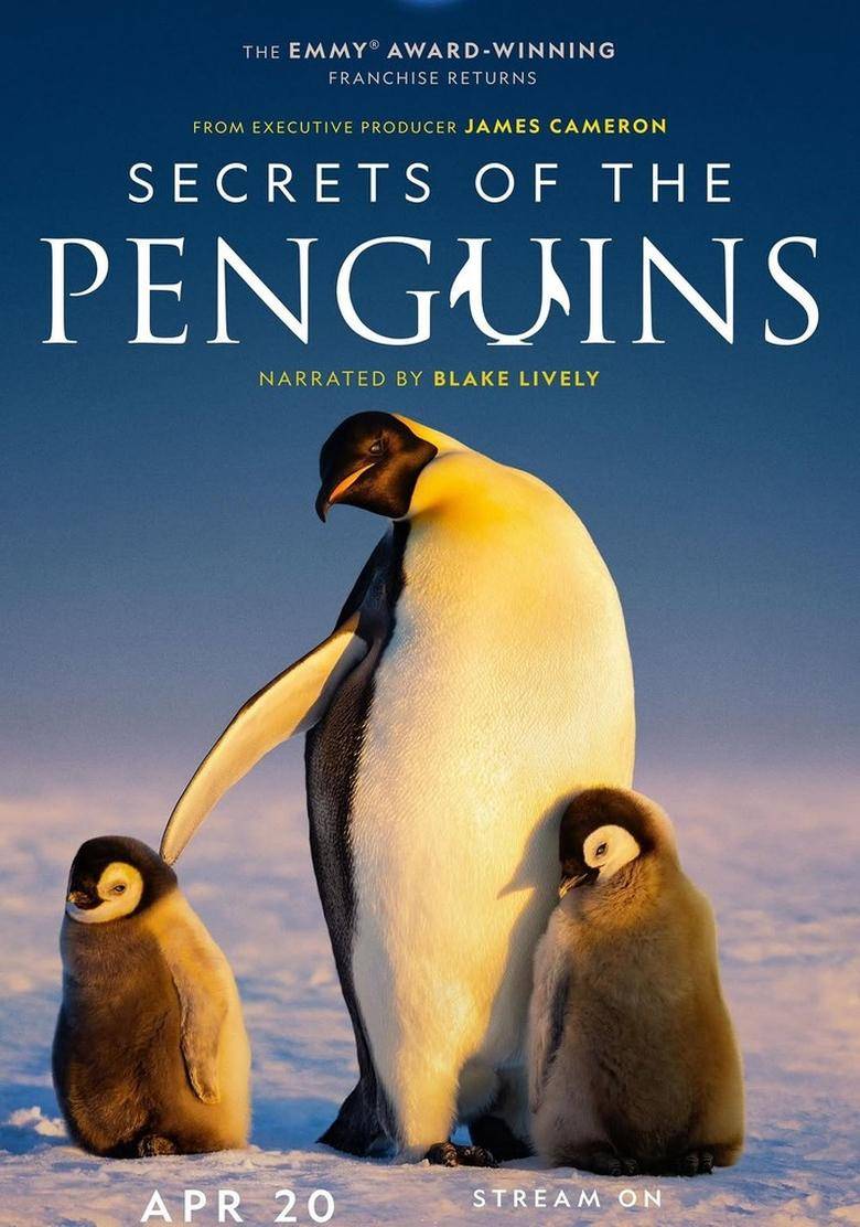 Secrets of the Penguins: An Unforgettable National Geographic Adventure