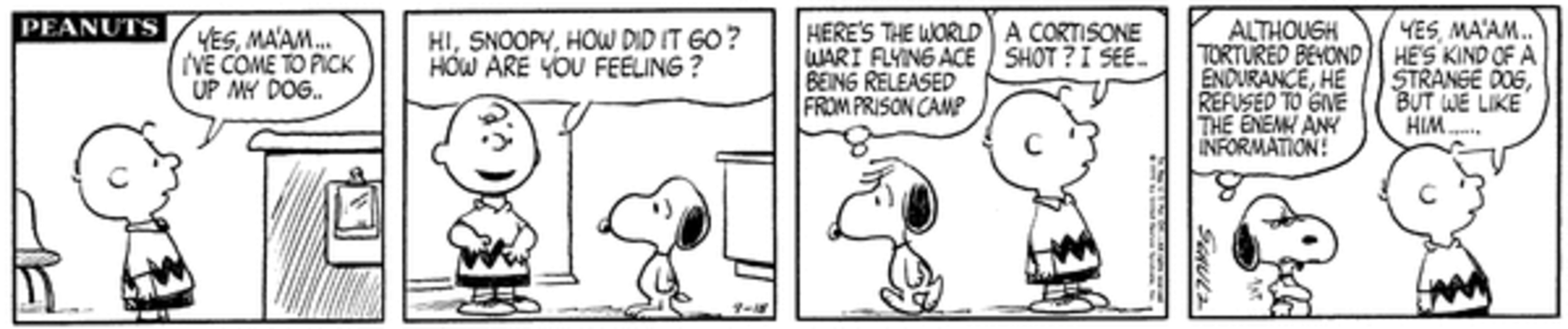 Charlie Brown taking a mad Snoopy home from the vet.
