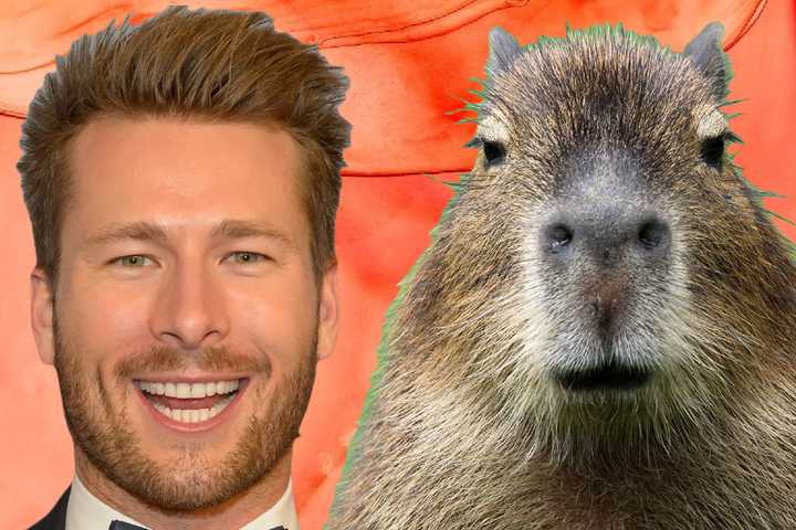 Glen Powell ScreenRant glen-powell-screenrant