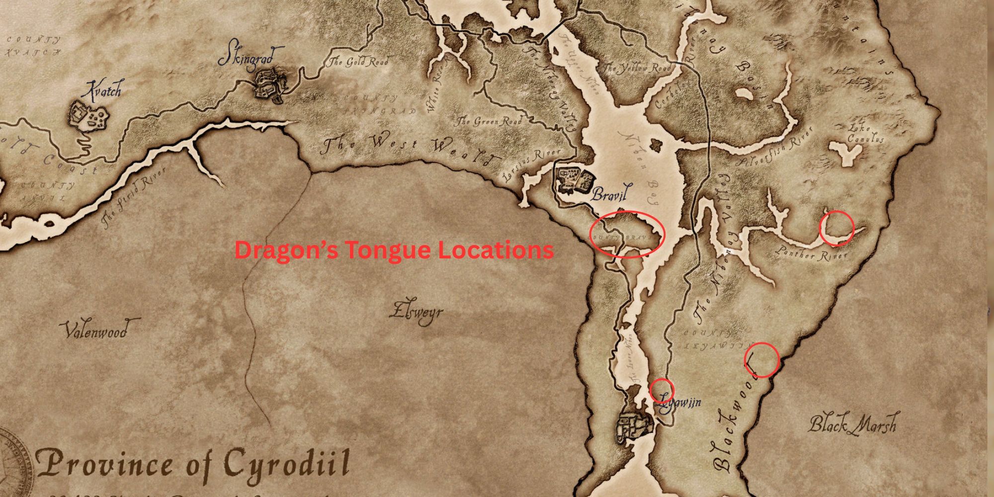 Dragon’s Tongue Locations in Oblivion Remastered