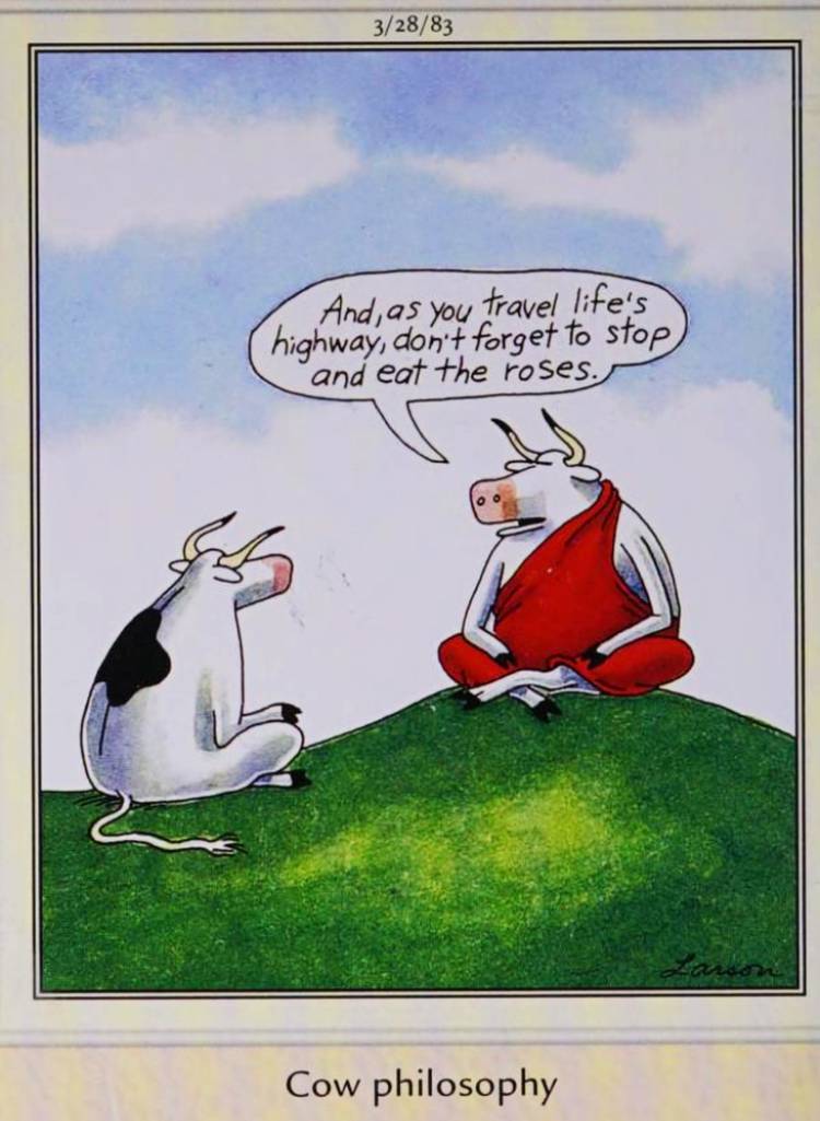 10 Hilarious Far Side Comics Where Cows Act Like Humans
