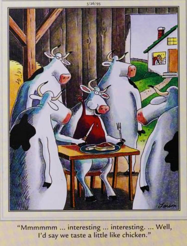 10 Far Side Comics Where The Eyes Are the Window To the Soul