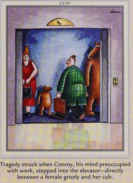 Far Side, May 9, 1990, a man gets between a bear and her cub in an elevator